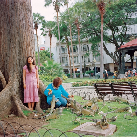 凯伦·米兰达·里瓦登内拉(Karen Miranda Rivadeneira)的“妈妈带我去公园，每个周末喂它们，治愈了我对鬣蜥的恐惧。”一位穿着粉红色连衣裙的年轻女子闭着眼睛站在公园的一棵大树旁，一位年长的妇女蹲在她身边喂鬣蜥吃香蕉