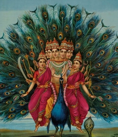 Sri Shanmukaha Subramania Swami，平版版画，约1900-1920年，Ravi Varma出版社，Karla-Lonavla。马克·巴伦和伊莉斯的收藏Boisanté。