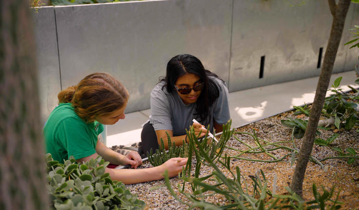 两名学生在《全球植物群》研究植物。