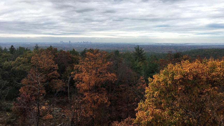 View from the the top of a hill in the woods with the Boston skyline in the background
