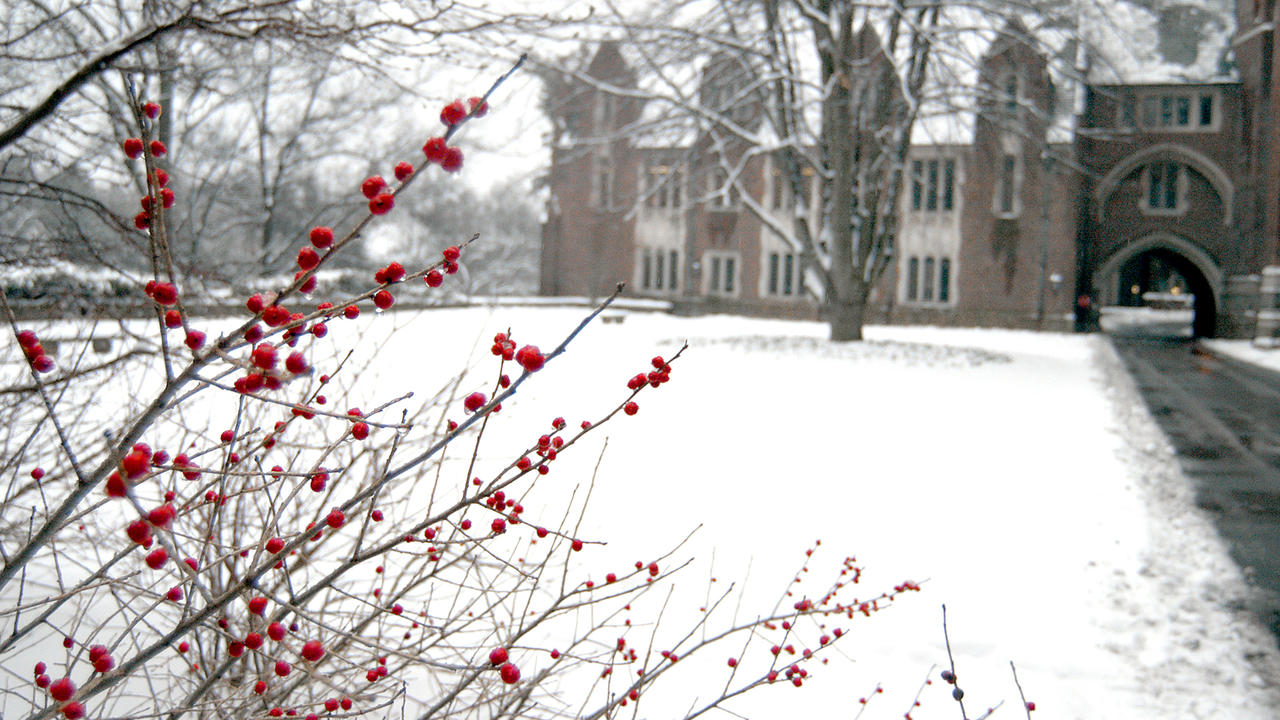 冬天的校园照片，前景是冬天的浆果。