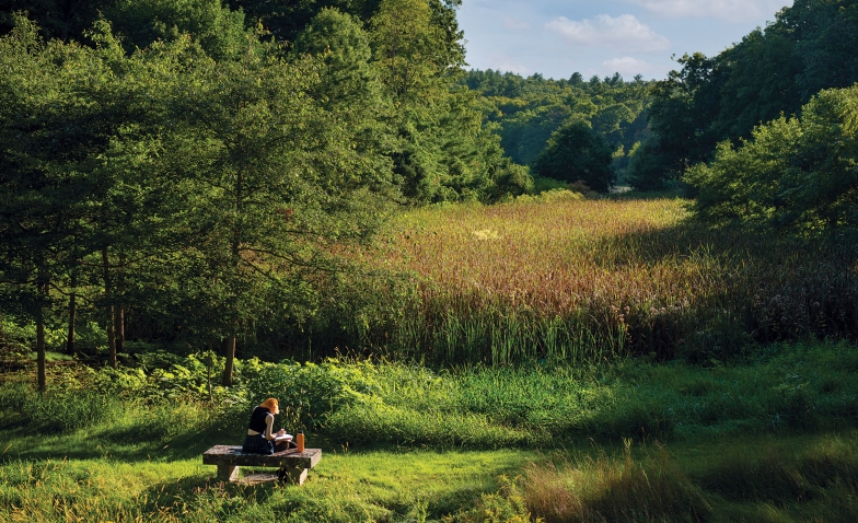 学生学习在长凳上俯瞰湿地女校友山谷,坐落在远处近郊。