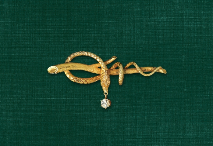国务卿奥尔布赖特标志性的蛇别针的照片——一条蛇盘绕在树枝上。它嘴里挂着一颗钻石。