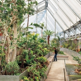 全球植物温室内的照片显示了一个繁荣的悦榕庄。在后台,一个学生准备hand-water植物。