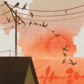一幅插图描绘了鸟儿从电线上坠落，映衬着橙色的天空。