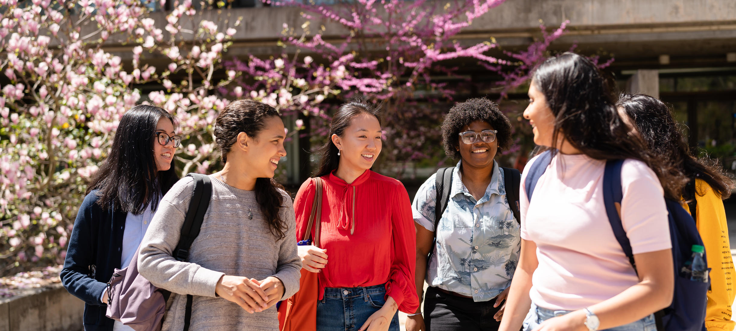 一群学生在春季在克拉普图书馆面前聊天